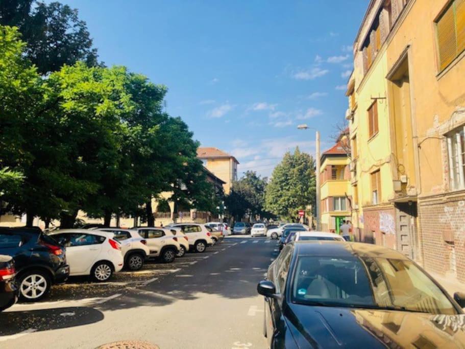 Joy City Stay Colonel Enescu 3 تيميشورا المظهر الخارجي الصورة