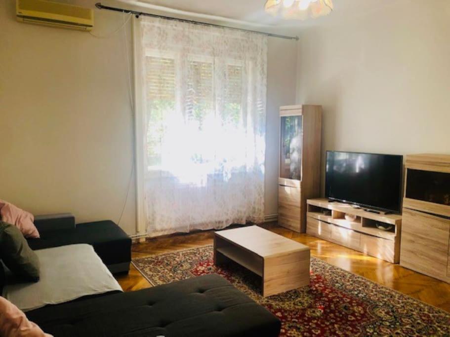 Joy City Stay Colonel Enescu 3 تيميشورا المظهر الخارجي الصورة
